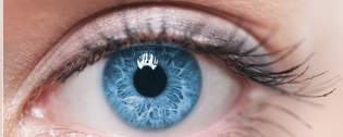 Устройство глаза человека